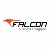 Falcon Business Energisers